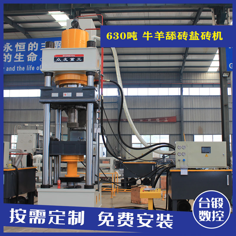 630吨三粱盐砖机 