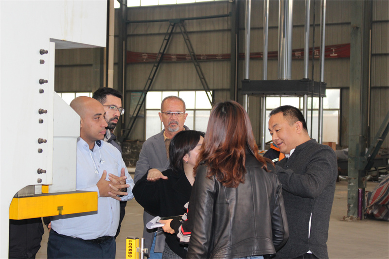 巴西牛羊舔砖液压机顾客来访