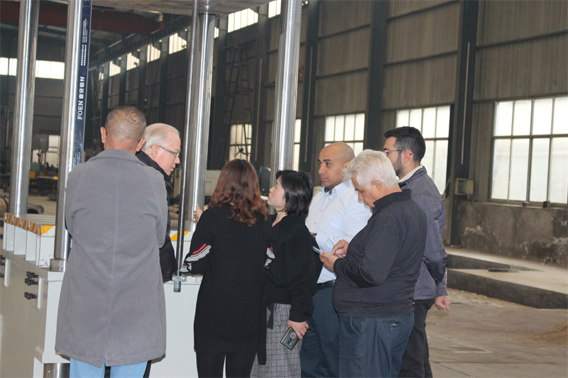 巴西牛羊舔砖液压机顾客来访